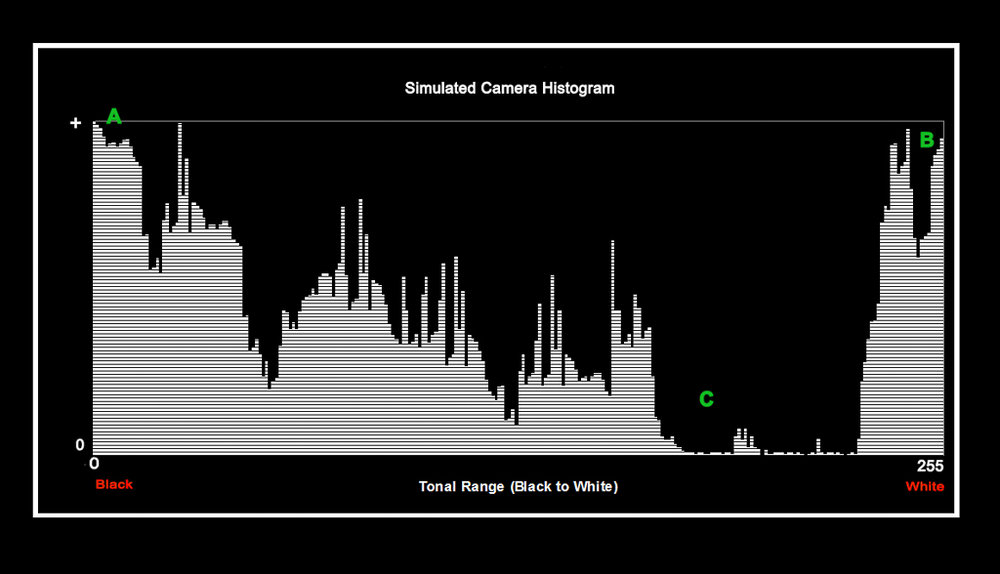 simulated camera histogram
