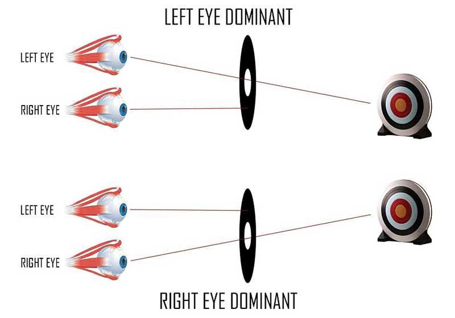 Dominant Eye