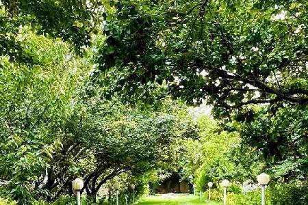 باغ عمارت مانیا (لوکیشن در تهران)