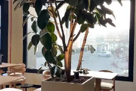 کافه برانچ کوچن (لوکیشن در تهران)