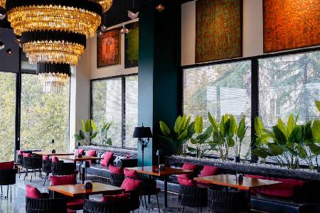 کافه لونارک (لوکیشن در تهران)