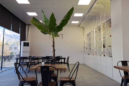 کافه رستری نوژ (لوکیشن در تهران)