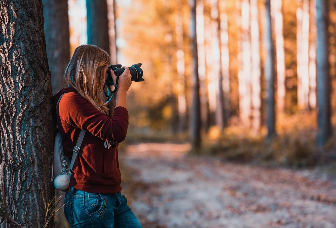 دوربین های حرفه ای: برای حرفه ای ها