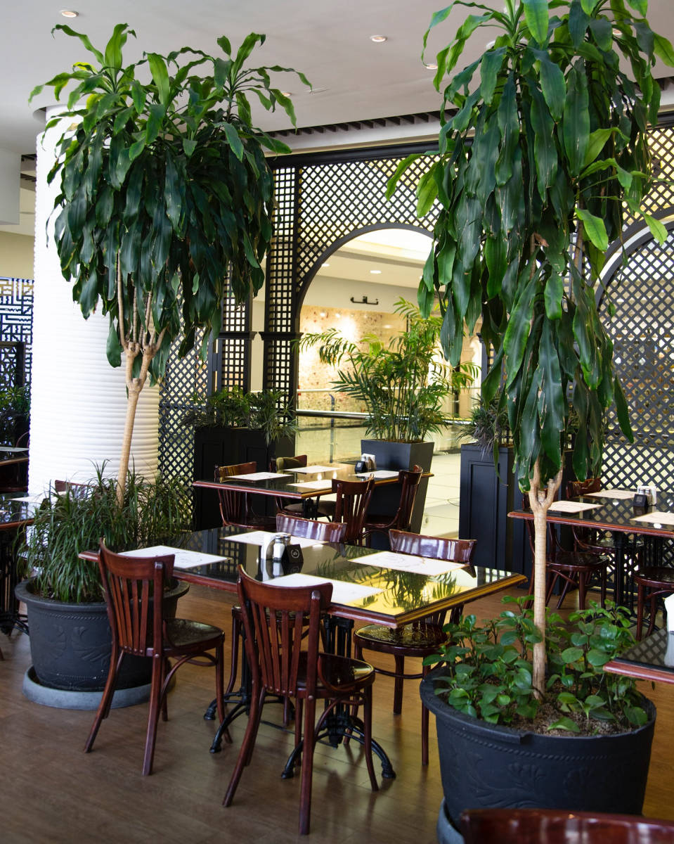 کافه رستوران بلوار (لوکیشن در تهران)