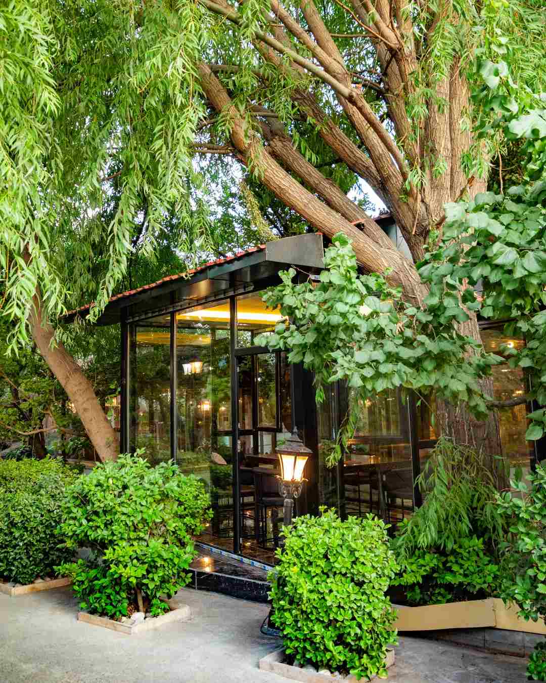 رستوران ارکیده (لوکیشن در تهران، مازندران، کرج و اصفهان)